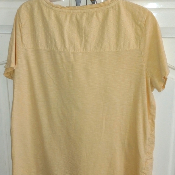 Chicos Womens Shirt Medium pale yellow Short Sleeve Stretch Top - Picture 3 of 6